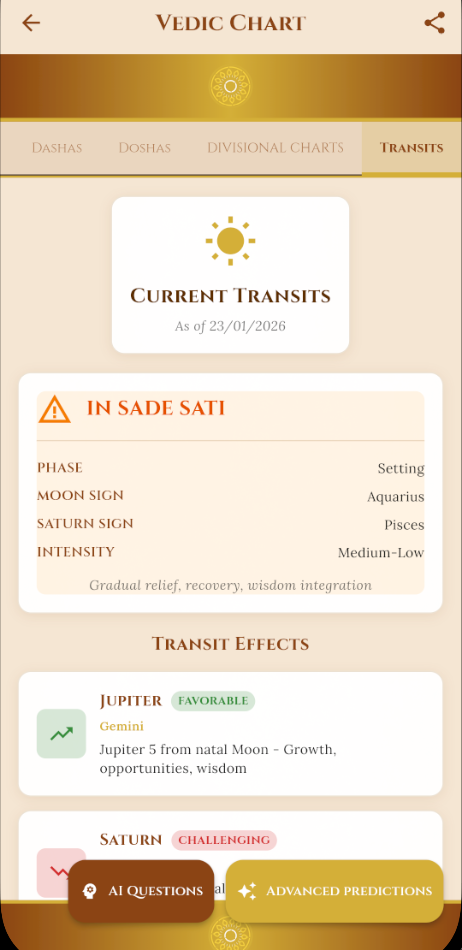 Jyotish AI Assistant Conversation
